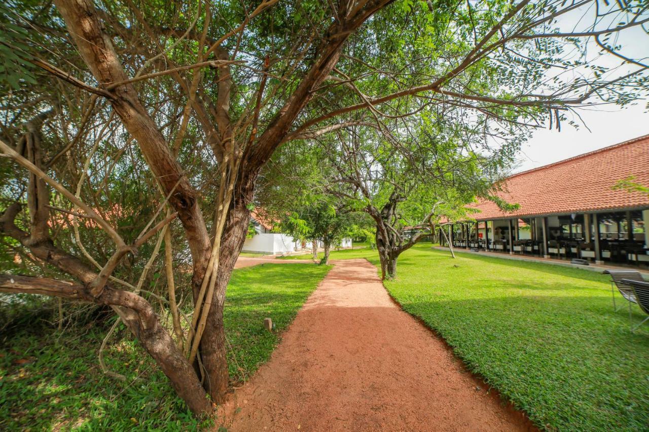 Sigiriyajungles Resort & Spa Dış mekan fotoğraf