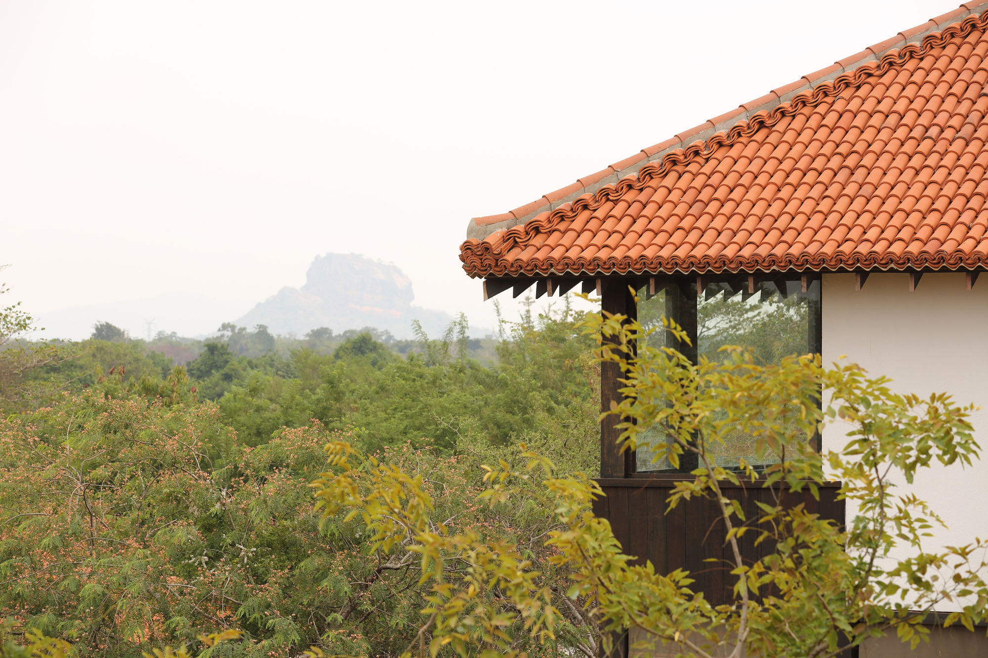 Sigiriyajungles Resort & Spa Dış mekan fotoğraf